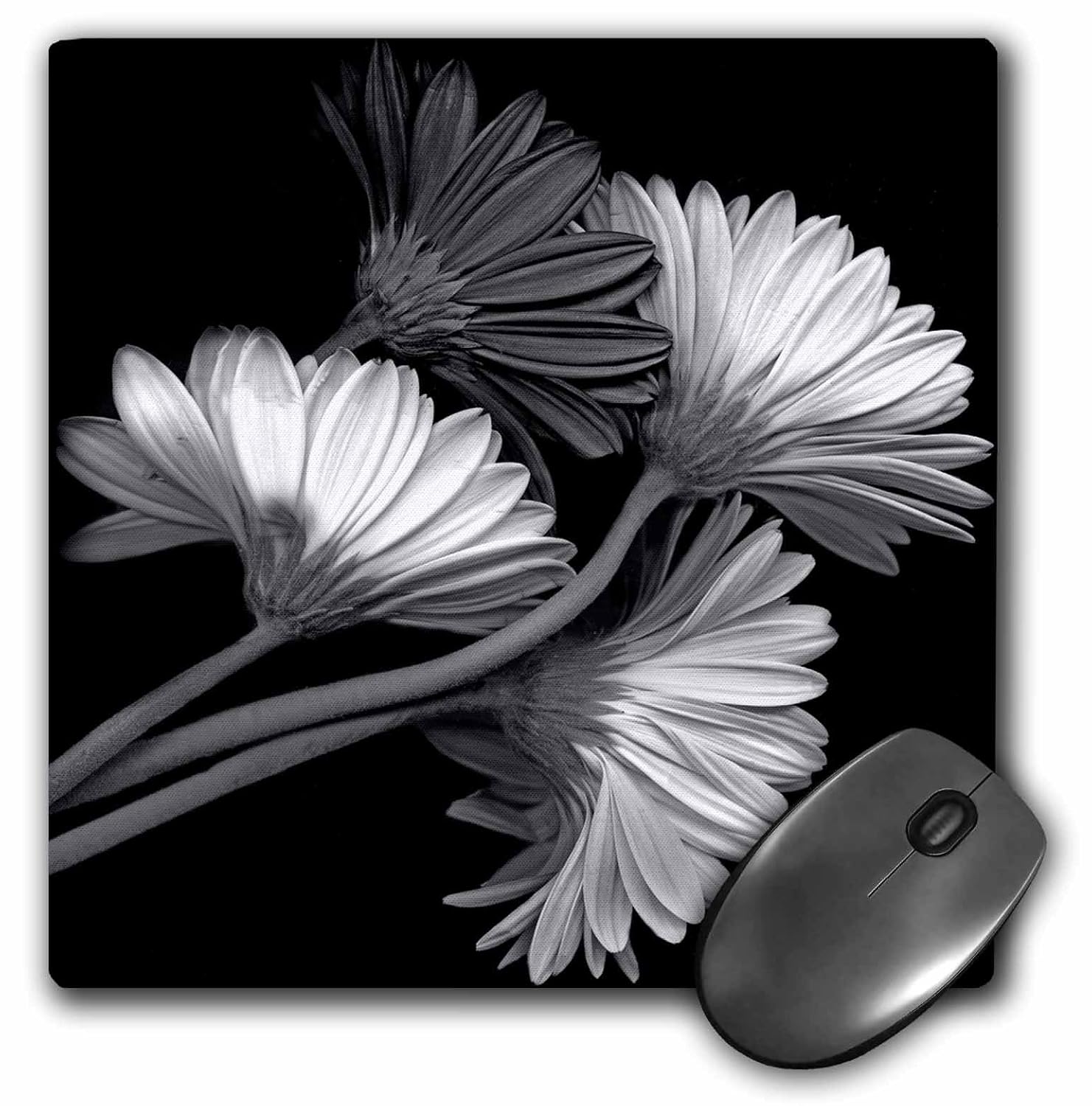 64 厘米鼠标垫,黑色背景下的雏菊花黑白艺术图像 (mp_154749_1)